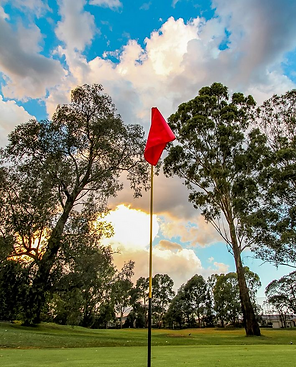 Photo of Wattle Park Golf Course