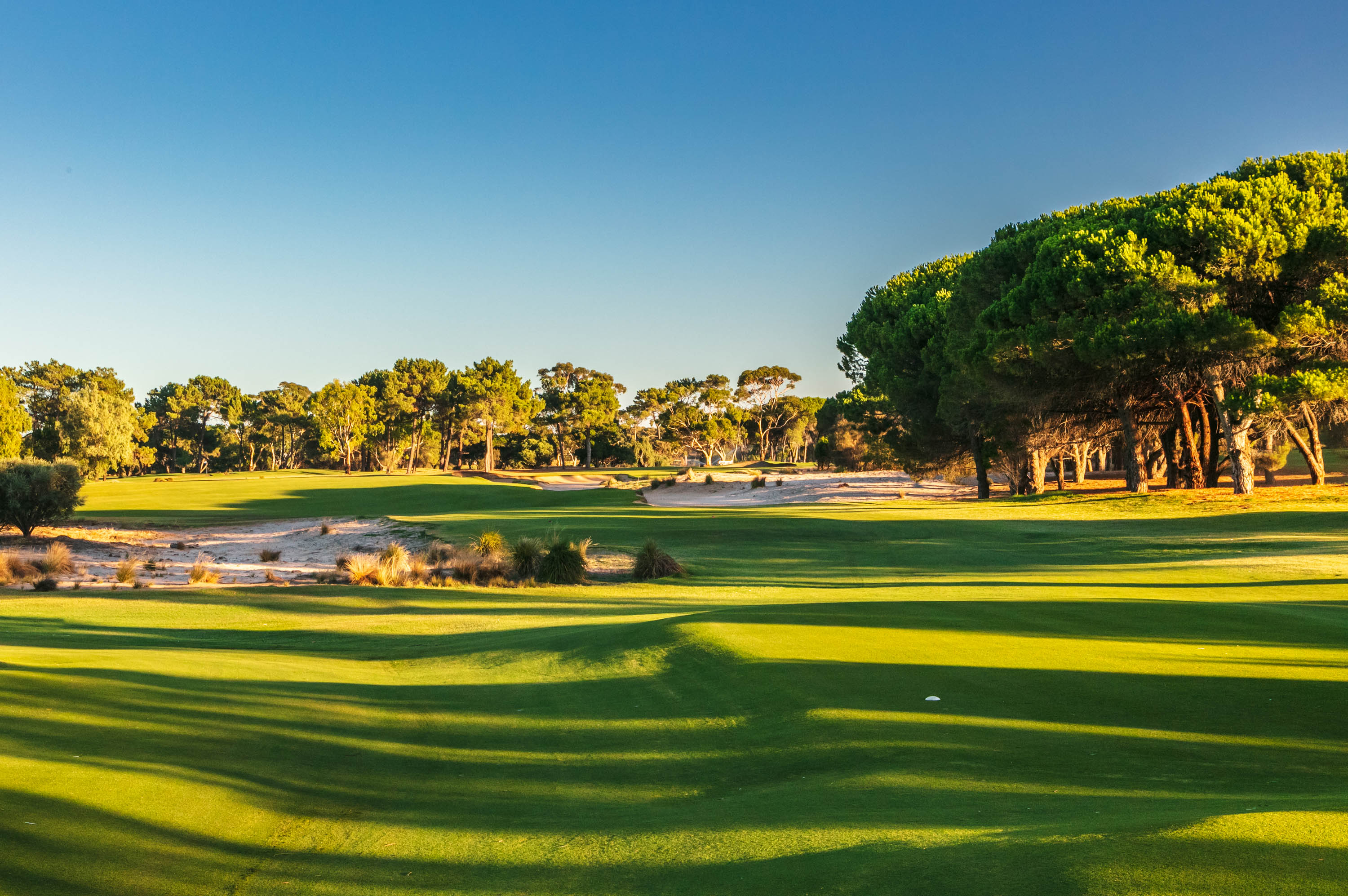 Photo of The Grange Golf Club